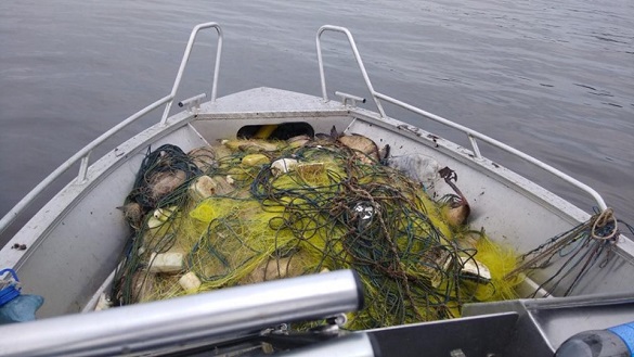 На Черкащині затримали браконьєрів, які наловили риби на майже 25 тисяч гривень