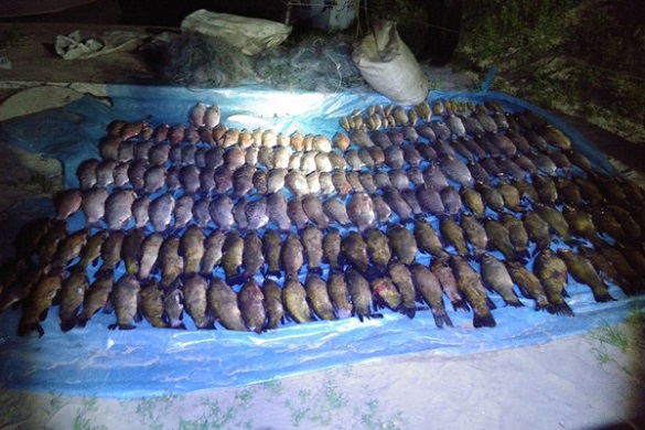 На Черкащині затримали пару браконьєрів, які наловили риби на понад 14 тисяч гривень