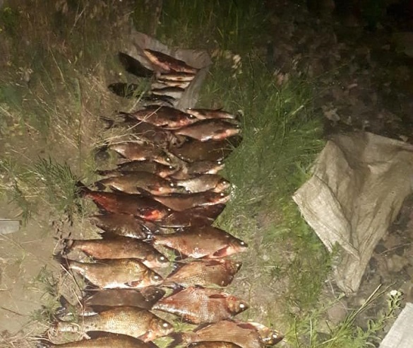 На Черкащині браконьєри наловили риби на дев'ять тисяч гривень