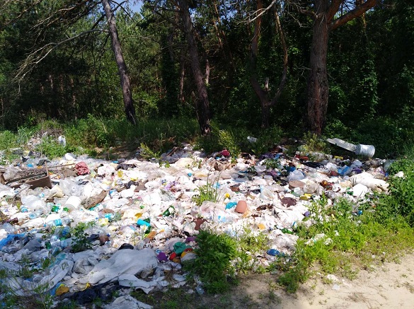 На Черкащині сільського голову оштрафували за стихійне сміттєзвалище (ФОТО)