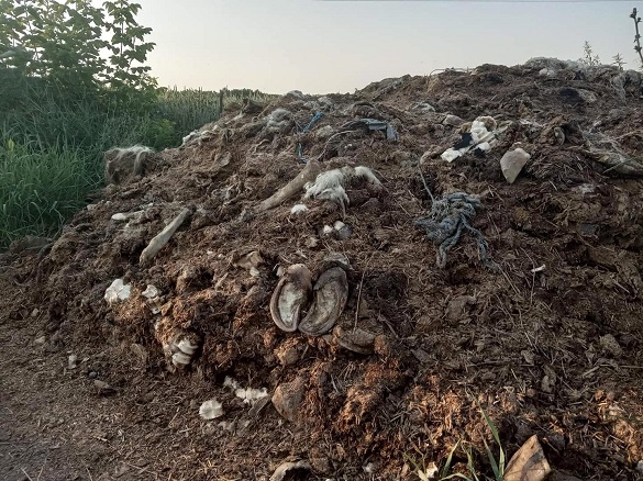 Черкащани виявили на своєму городі тонни тваринних решток (ФОТО)