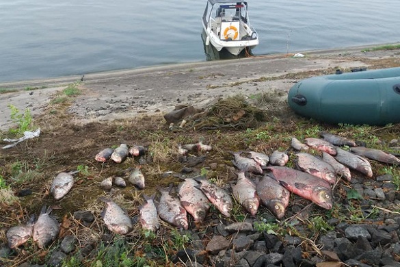 У Черкаському районі браконьєр наловив риби на майже 11 тисяч гривень