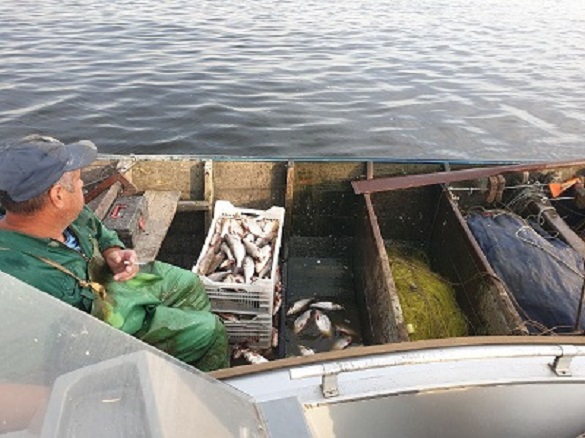 На Черкащині браконьєр наловив риби на майже 200 000 гривень (ФОТО)
