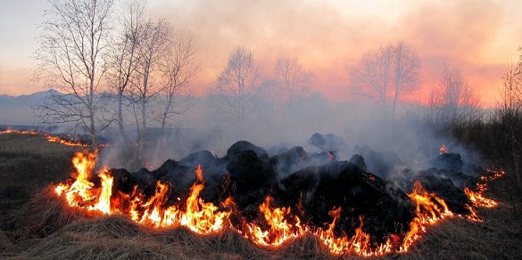 У Черкаській області оголосили надзвичайний рівень пожежної небезпеки