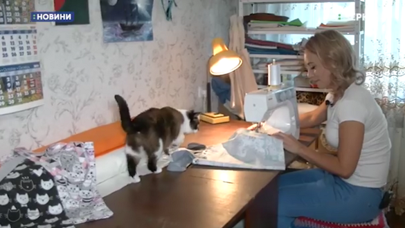 Черкащанка заради безпритульних котів шиє екоторбинки (ВІДЕО)