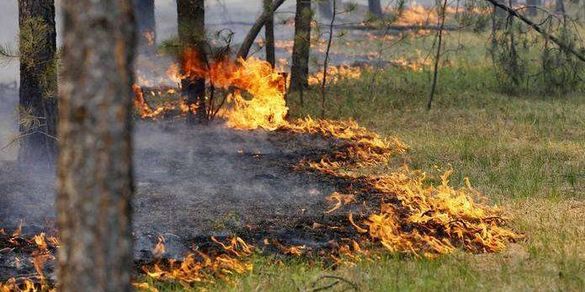 Синоптики повідомили про високий клас пожежної небезпеки над Черкащиною