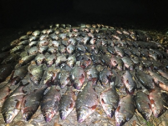 Збитків на понад 14 тисяч гривень: на Черкащині чоловік здійснював незаконний вилов риби