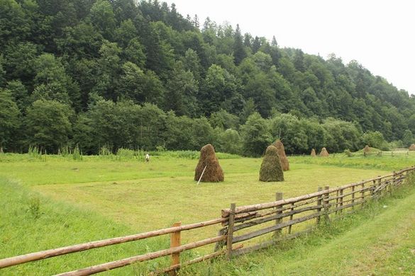 У Держгеокадастрі Черкащини розповіли, скільки тисяч гектарів землі видали учасникам АТО