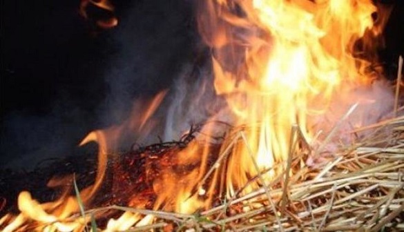 На Черкащині згоріло 500 кілограмів сіна (ВІДЕО)