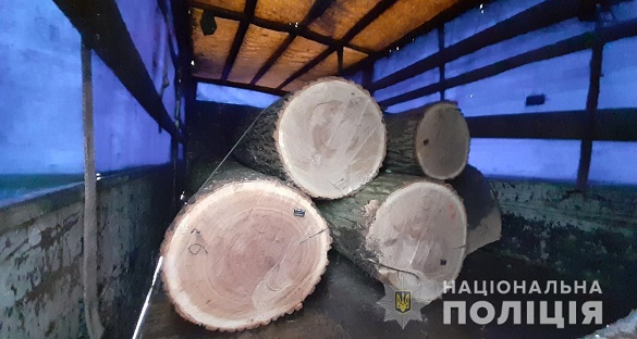 На Черкащині затримали дві вантажівки з нелегальною деревиною