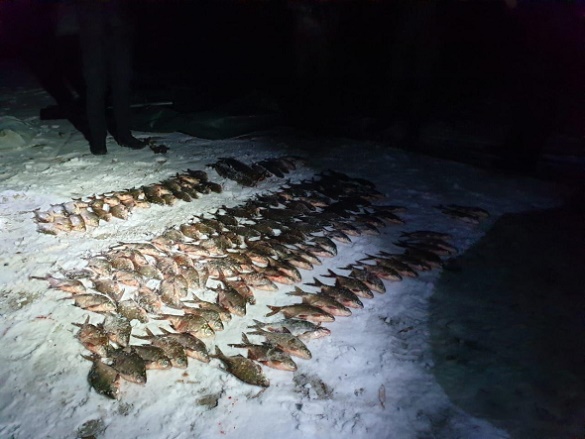 У Черкасах бракон'єри виловили риби на понад 22 тисячі гривень (ФОТО)