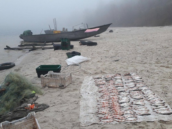 Браконьєри на Черкащині виловили риби на понад 20 тисяч гривень (ФОТО)