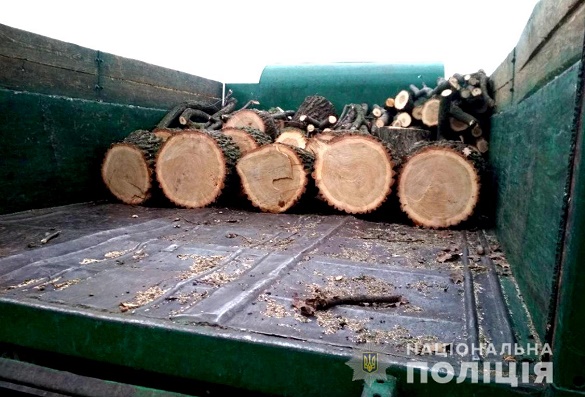 Невідомі на Черкащині знищували ліс (ФОТО, ВІДЕО)