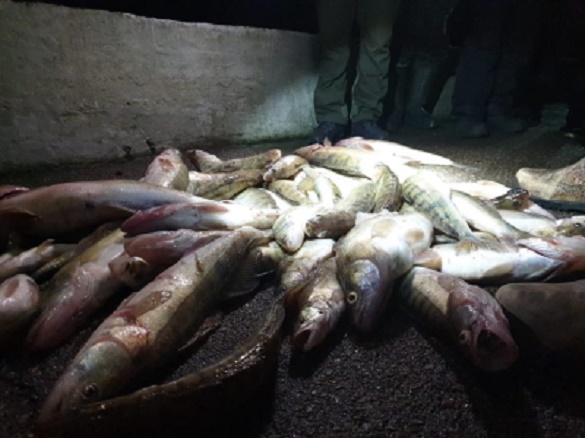 Бракон'єри на Черкащині виловили 32 кілограми риби методом багріння (ФОТО)