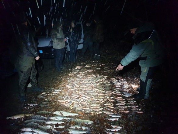 Бракон'єри на Черкащині виловили риби на понад 30 тисяч гривень (ФОТО)