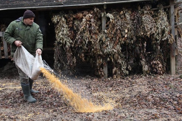 У одному з лісгоспів на Черкащині заготовили для тваринок 17 тон зерна та зерновідходів (ФОТО)