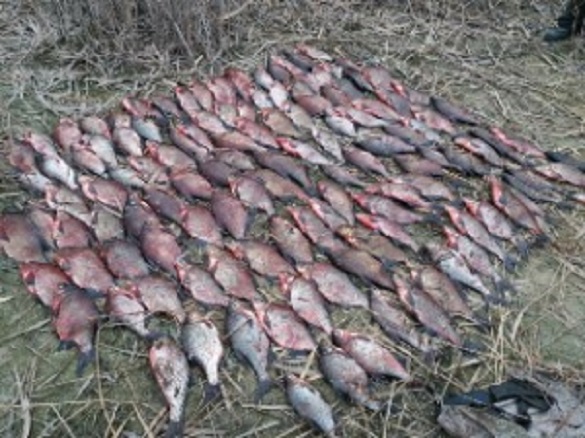 Браконьєри на Черкащині виловили риби на понад 30 тисяч гривень (ФОТО)