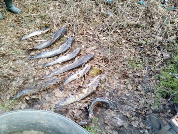 Порушник на Черкащині виловив 18 кілограмів риби (ФОТО)