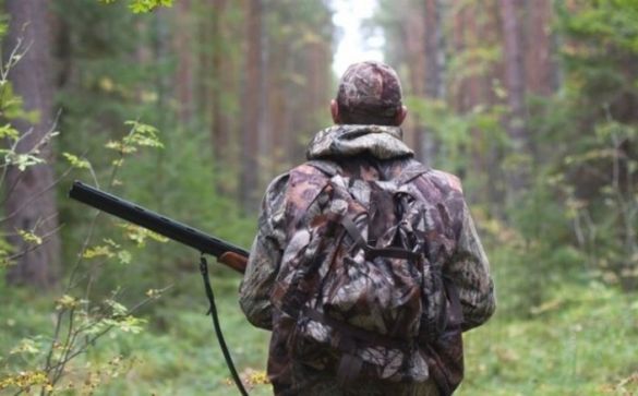 Ліси Черкащини атакують браконьєри (ВІДЕО)
