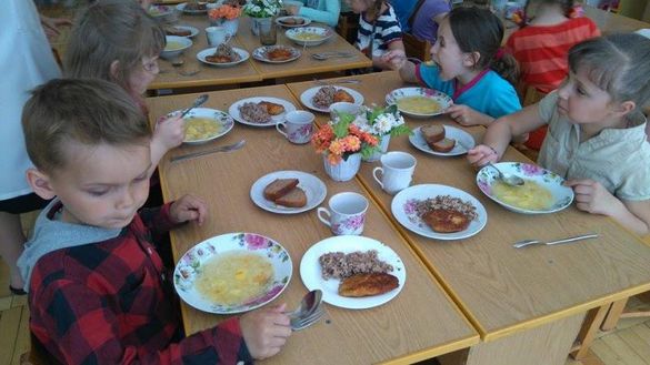 У одному з садочків на Черкащині дітей годували стравами з хробаками (ВІДЕО)