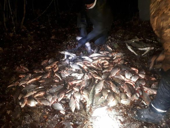 На Черкащині впіймали рибних браконьєрів, що наловили понад 300 кілограм риби (ВІДЕО)