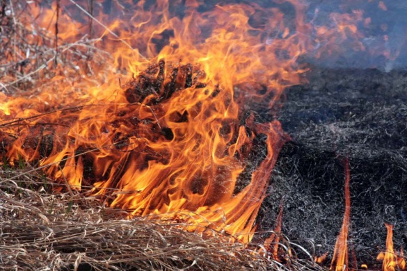 За минулу добу на Черкащині рятувальники ліквідували 2 пожежі сухої трави
