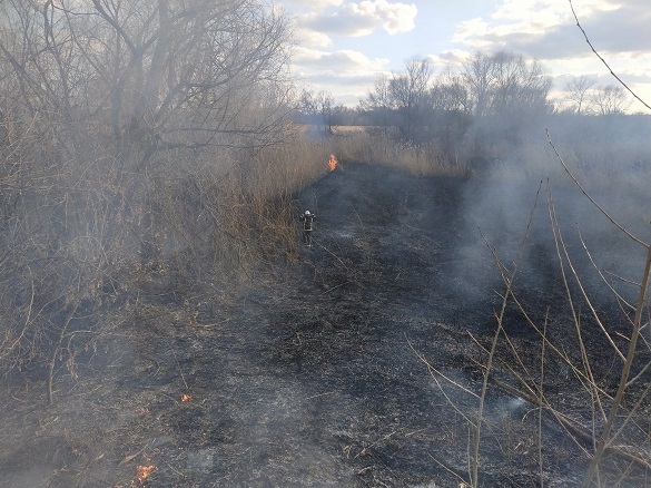 На Черкащині впродовж доби ліквідували три пожежі в екосистемах (ФОТО)