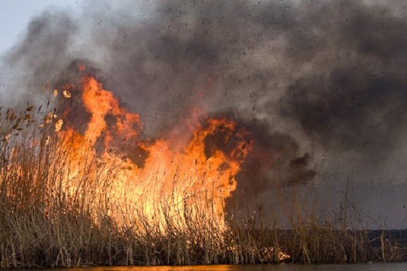 Понад три гектари трави згоріло за добу на Черкащині