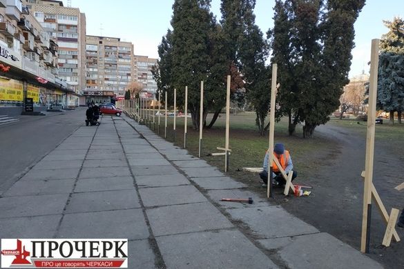 У черкаському сквері обіцяють створити найбільший в Україні сад магнолій