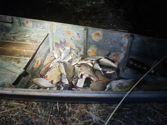 Сорок кілограмів риби незаконно виловили браконьєри на Черкащині (ФОТО)