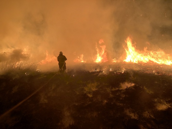 На Черкащині сталася масштабна пожежа на відкритій території (ФОТО)
