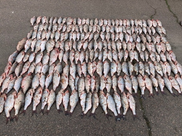 Понад 400 порушень правил рибальства виявили минулого місяця на Черкащині (ФОТО)
