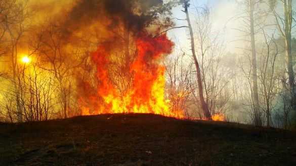 Карантин у дії: під Черкасами відпочивальники підпалили ліс та втекли (ВІДЕО)