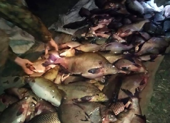 Вночі на Черкащині затримали браконьєрів (ФОТО)