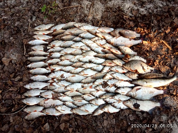 У селі на Черкащині браконьєри наловили риби на понад 10 тисяч гривень (ВІДЕО)