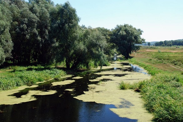 Річка Тясмин невдовзі може зникнути з карти Черкащини (ВІДЕО)