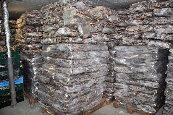 40 тонн риби та незареєстрована зброя: колишній правоохоронець на Черкащині незаконно займався рибним промислом (ФОТО)