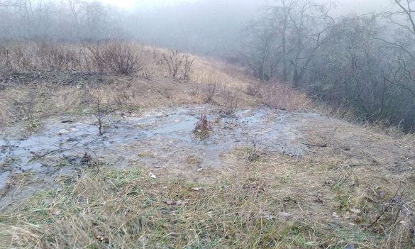 Черкащанин заплатить майже 70 тисяч штрафу за забруднення земельної ділянки