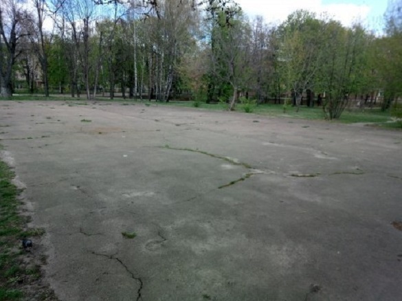 Черкасці просять створити футбольне поле в одному з парків міста (ФОТО)