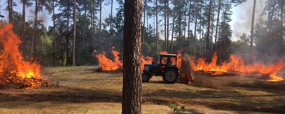 Лісівники та рятувальники гасили умовну лісову пожежу під Черкасами (ВІДЕО)