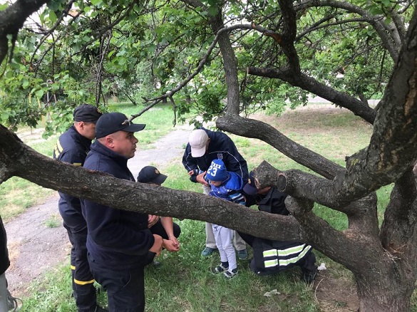 У Черкасах з дерева рятували хлопчика (ВІДЕО)