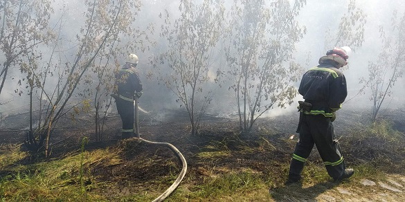 Через необережне поводження з вогнем на Черкащині шість разів горіла трава та сміття (ФОТО)