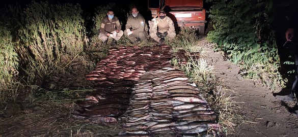 На Черкащині браконьєри наловили риби на понад 70 тисяч гривень (ФОТО)