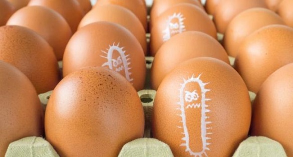 У курячих яйцях на Черкащині виявили сальмонельоз