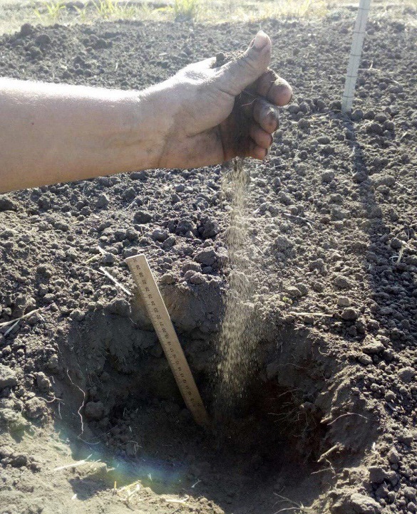Території Черкаської області охопила засуха (ФОТО)