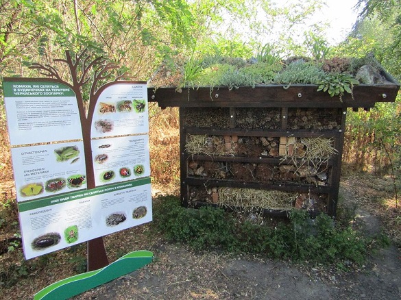 У Черкаському зоологічному парку житимуть бджоли, джмелі та оси (ФОТО)