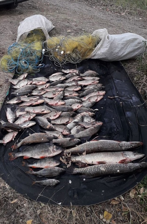 На Черкащині спіймали браконьєра, який сітками ловив рибу (ФОТО)