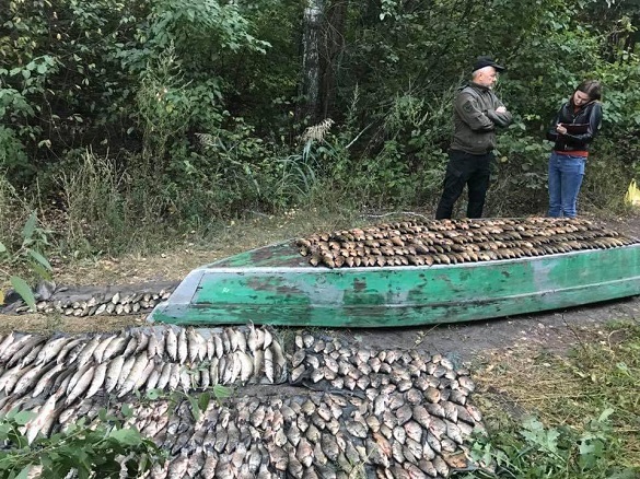 За останній місяць браконьєри на Черкащині наловили риби майже на мільйон гривень