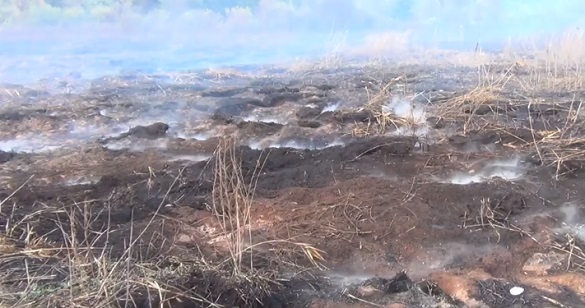 На Черкащині три дні горить торф'яний ґрунт (ВІДЕО)