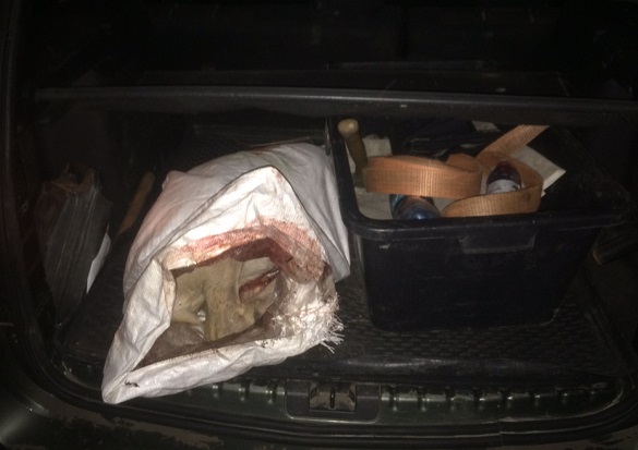 Черкаські поліцейські зупинили автівку, в багажнику якої виявили тушу косулі